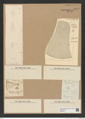 Diatomeae indet. Zeichnungen Sammlung Grunow Nr. 8979 (NHMW-BOT-W0378674)